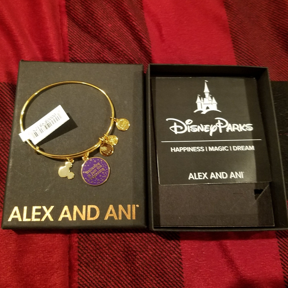 Disney Alex and Ani Bracelet
